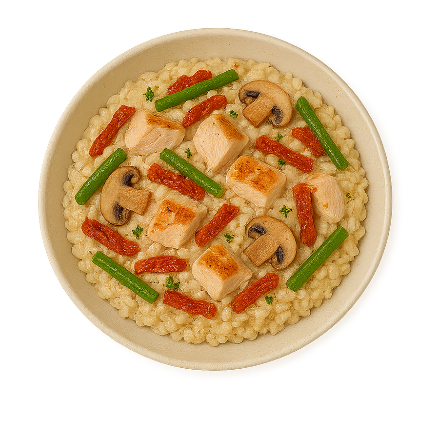Pollo